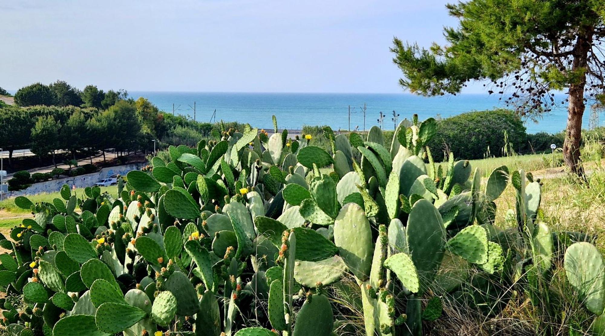 Via Del Mare Villa Termoli Exterior foto